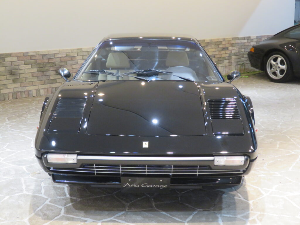 ３０８ＧＴＢ ＶＥＴＲＯＲＥＳＩＮＡ