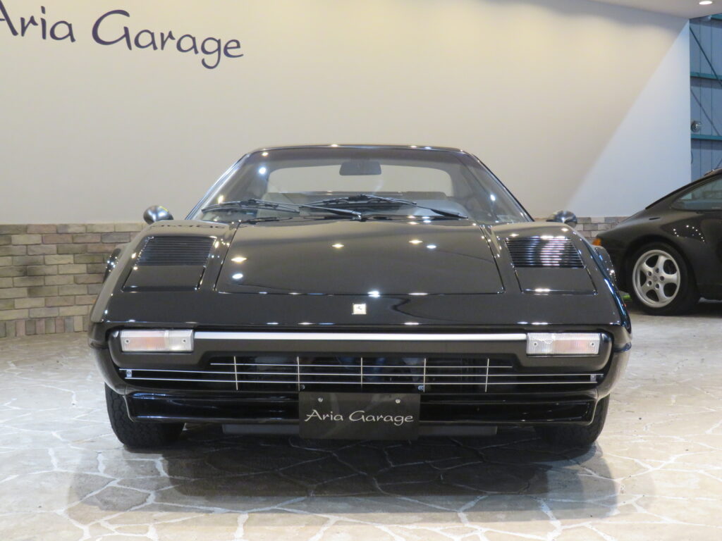 ３０８ＧＴＢ ＶＥＴＲＯＲＥＳＩＮＡ