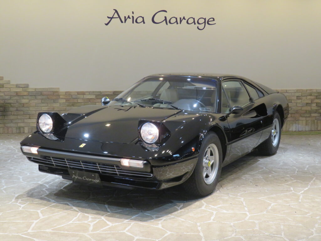 ３０８ＧＴＢ ＶＥＴＲＯＲＥＳＩＮＡ