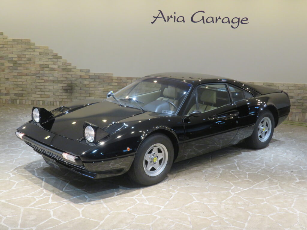 ３０８ＧＴＢ ＶＥＴＲＯＲＥＳＩＮＡ