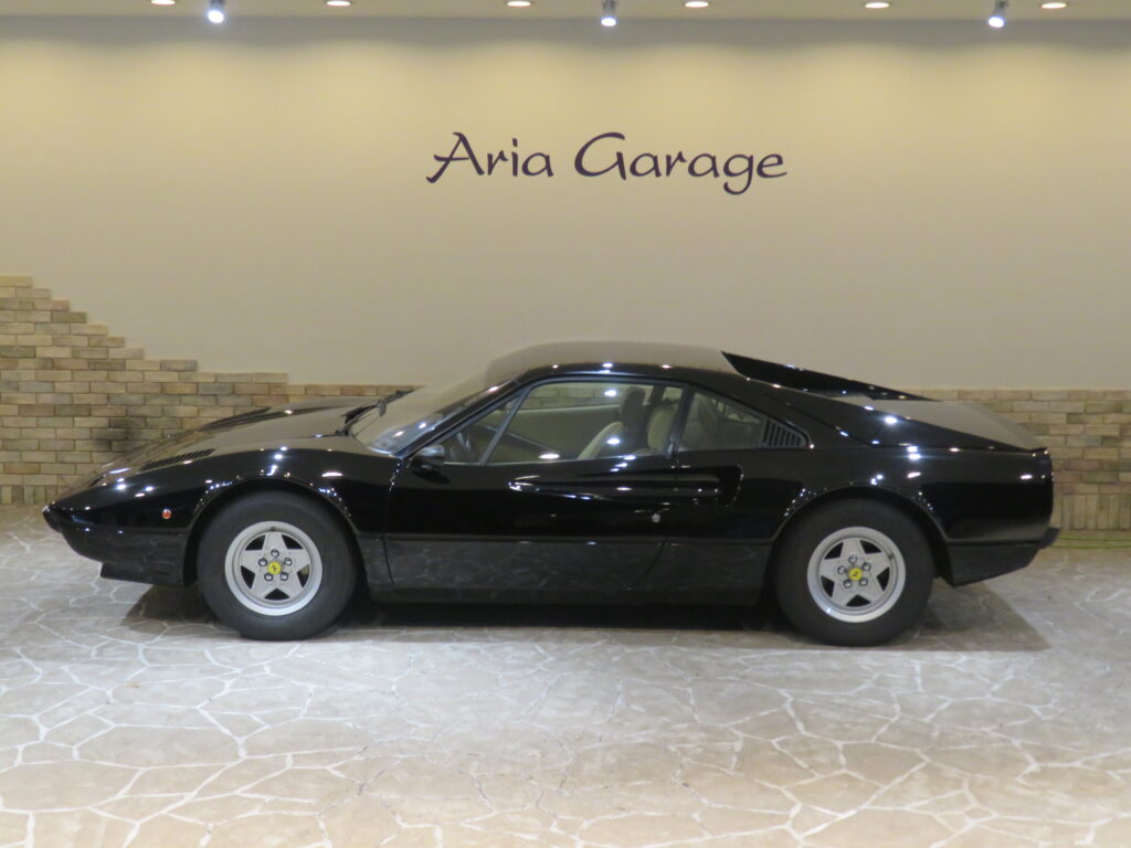 ３０８ＧＴＢ ＶＥＴＲＯＲＥＳＩＮＡ
