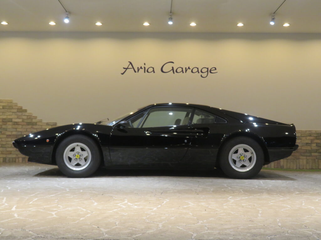 ３０８ＧＴＢ ＶＥＴＲＯＲＥＳＩＮＡ