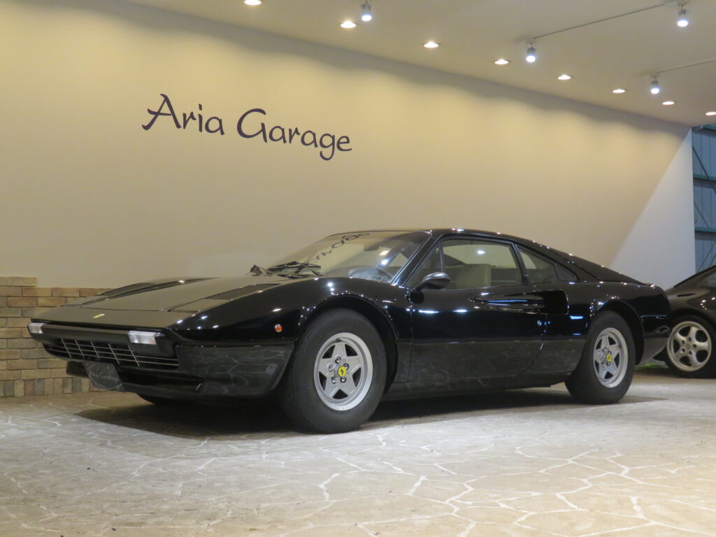 ３０８ＧＴＢ ＶＥＴＲＯＲＥＳＩＮＡ