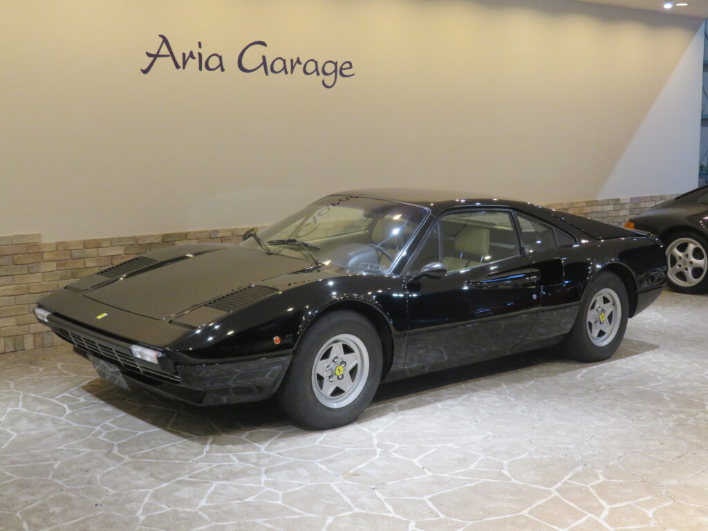３０８ＧＴＢ ＶＥＴＲＯＲＥＳＩＮＡ