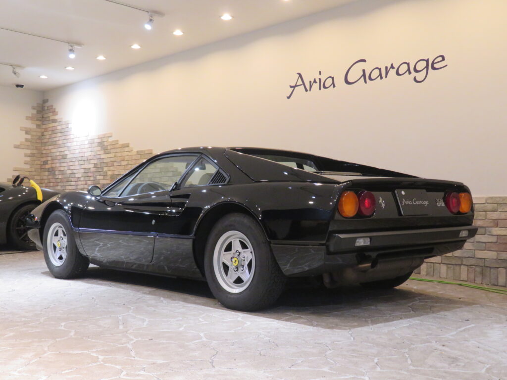 ３０８ＧＴＢ ＶＥＴＲＯＲＥＳＩＮＡ