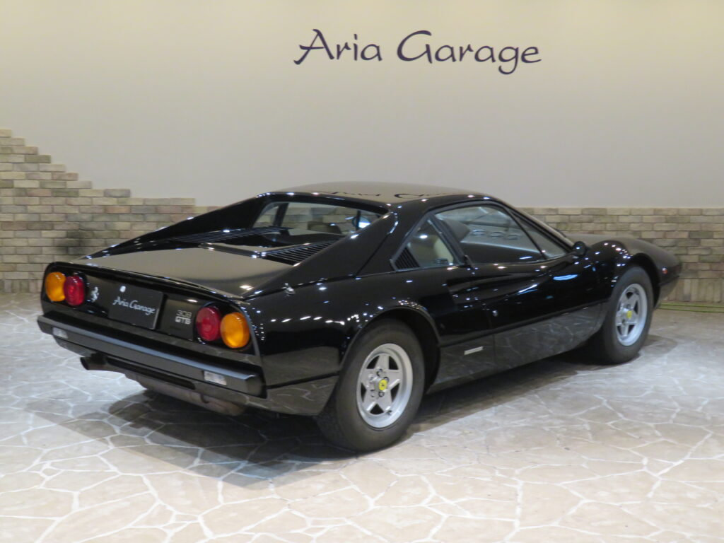 ３０８ＧＴＢ ＶＥＴＲＯＲＥＳＩＮＡ