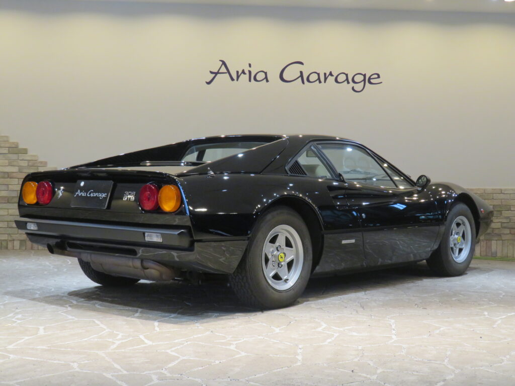 ３０８ＧＴＢ ＶＥＴＲＯＲＥＳＩＮＡ