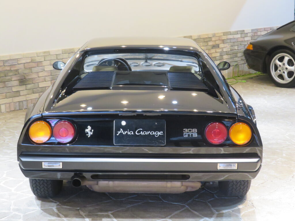 ３０８ＧＴＢ ＶＥＴＲＯＲＥＳＩＮＡ