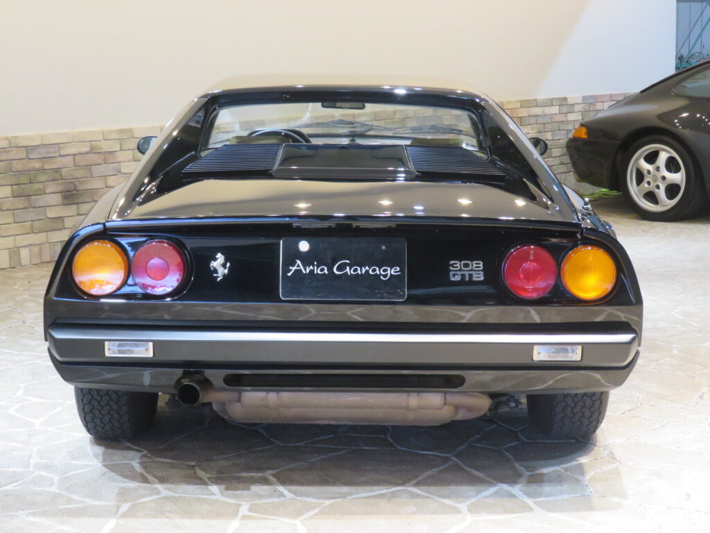 ３０８ＧＴＢ ＶＥＴＲＯＲＥＳＩＮＡ