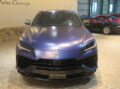 Ｕｒｕｓ Ｐｅｒｆｏｒｍａｎｔｅ