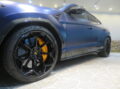 Ｕｒｕｓ Ｐｅｒｆｏｒｍａｎｔｅ