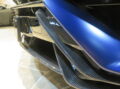Ｕｒｕｓ Ｐｅｒｆｏｒｍａｎｔｅ