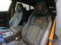 Ｕｒｕｓ Ｐｅｒｆｏｒｍａｎｔｅ