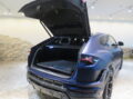 Ｕｒｕｓ Ｐｅｒｆｏｒｍａｎｔｅ