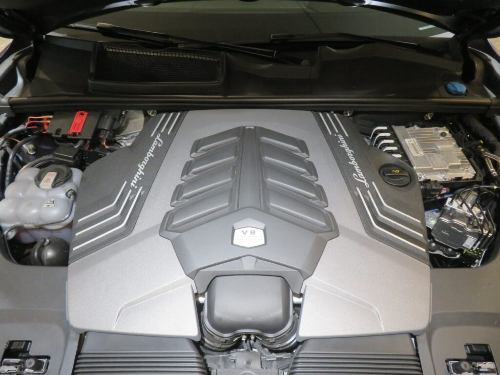 Ｕｒｕｓ Ｐｅｒｆｏｒｍａｎｔｅ