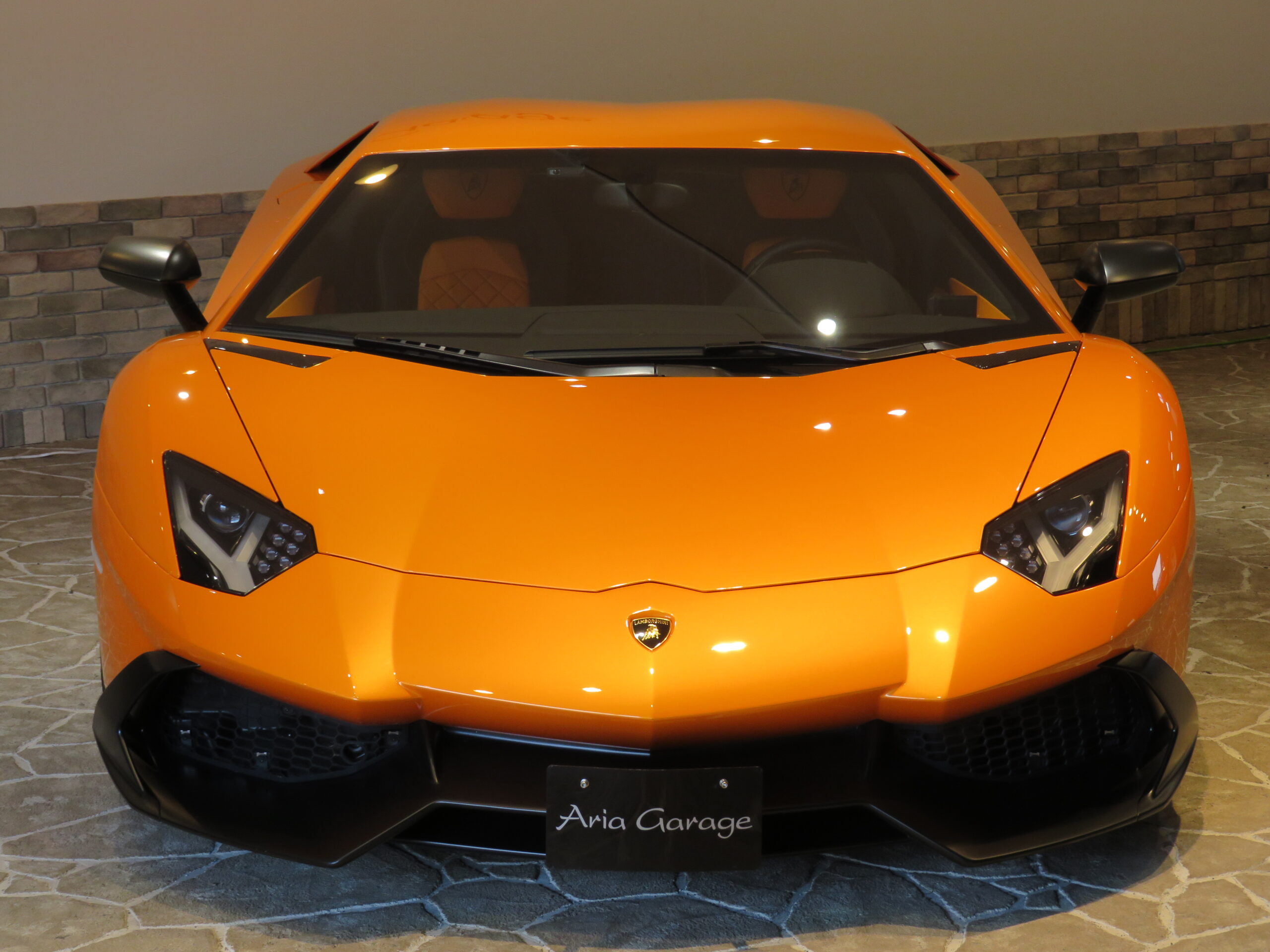 世界限定車両　５０ＴＨ