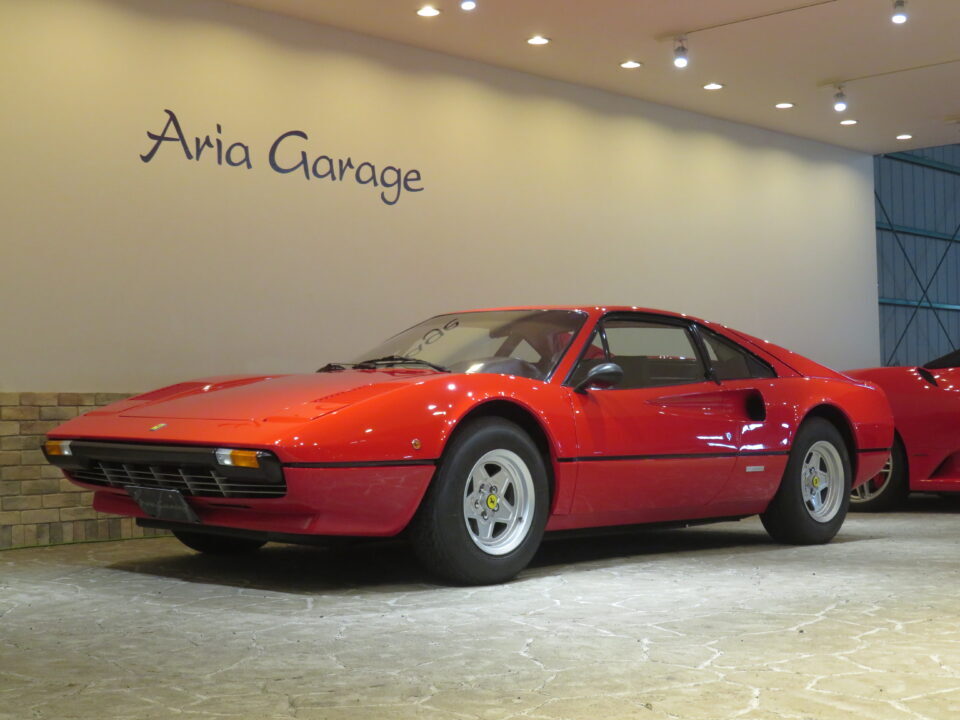 希少な３０８ＧＴＢ！！