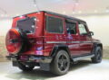 Ｇ６３ロング クレイジーカラーＬＴＤ