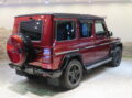 Ｇ６３ロング クレイジーカラーＬＴＤ