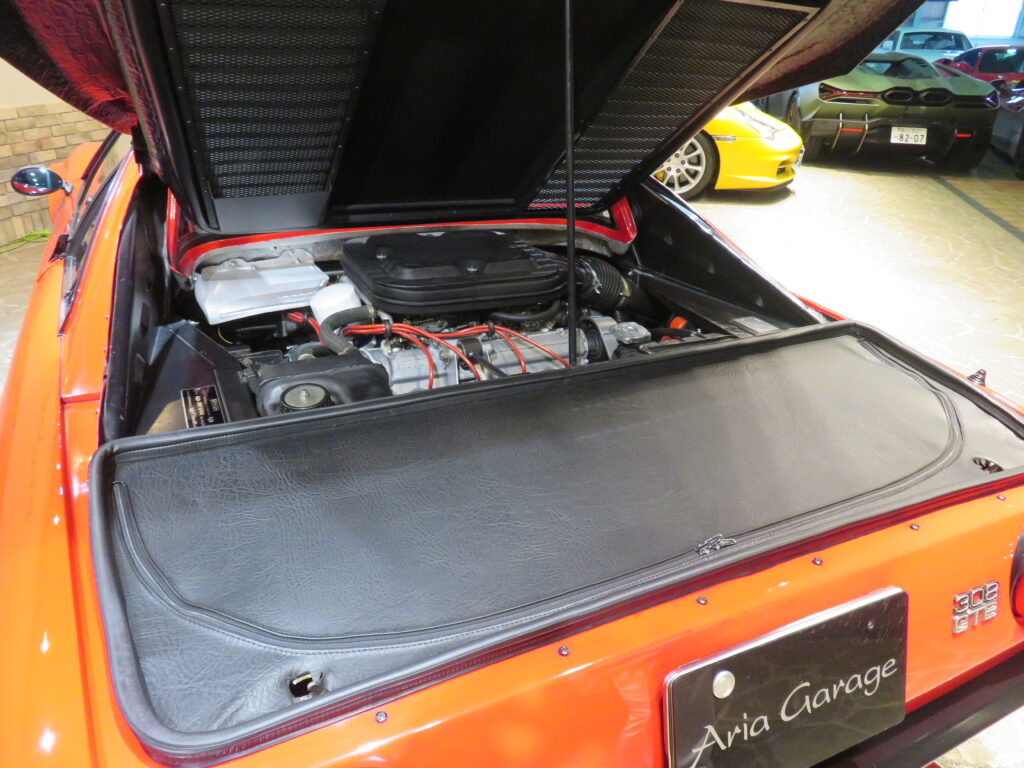 ３０８ＧＴＢ ＶＥＴＲＯＲＥＳＩＮＡ